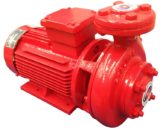 Stalker Pumps Compact Motor Pumps